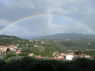 House Pet-friendly Settignano