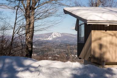 House Pet-friendly Bondville