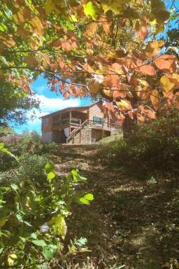 Cabin Laurelville