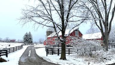 House Metamora