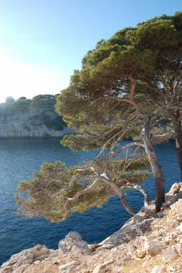Appartement La Ciotat