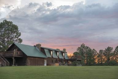 House Pagosa Springs