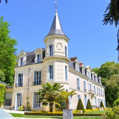 Location à Langeais, destination historique au bord de la Loire - HomeToGo