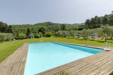 House Pool Londa