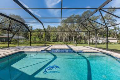 House Anclote River Heights