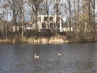 Huis Zwembad Joure