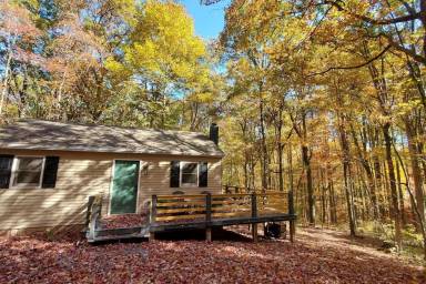 Cabin Great Cacapon