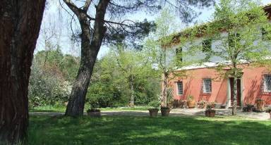 House Romola