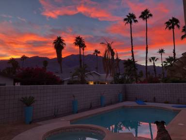 Dom Palm Springs