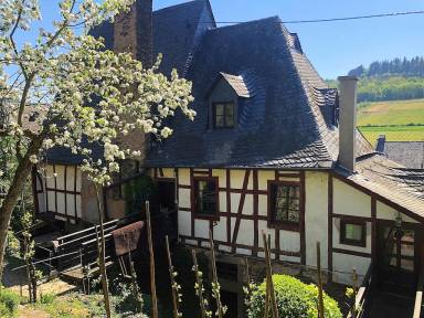 Ferienwohnung Zell (Mosel)