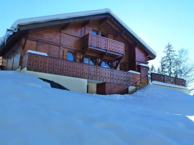 Chalet Air conditioning Morillon