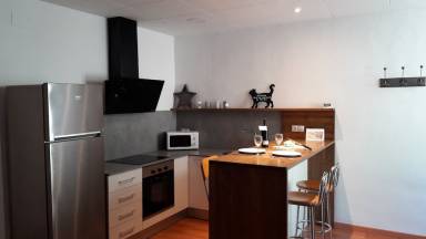 Apartamento Ribas de Freser