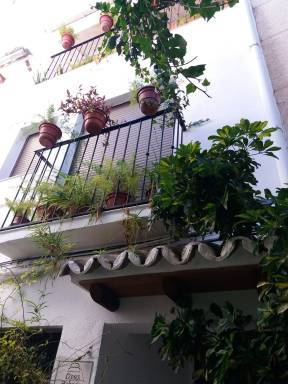 Casa Balcón Quesada