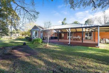 House Pet-friendly Balnarring Beach