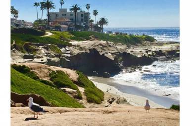 Condo La Jolla