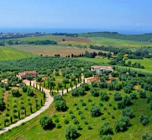 Appartement Follonica