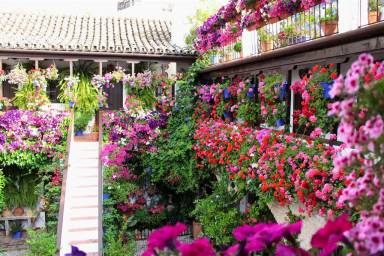 Condo La Catedral