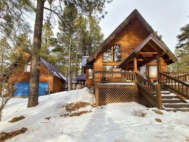 Cabin Pagosa Springs