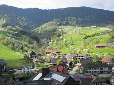 Schwarzwaldferien in komfortablen Ferienwohnungen in Oberharmersbach - HomeToGo