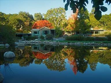 Cottage Pool Carmel Valley
