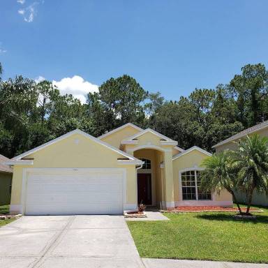 House Internet Wesley Chapel