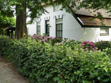 Huis Duiven