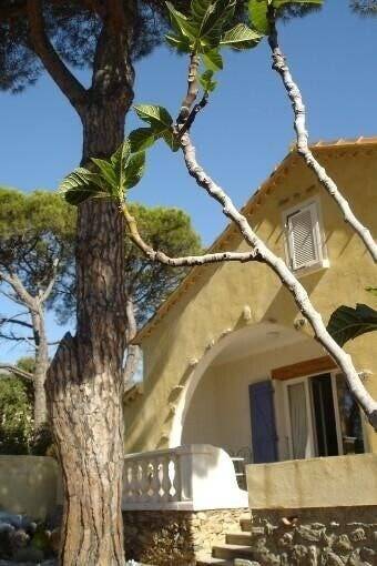 Hus Saint-Tropez
