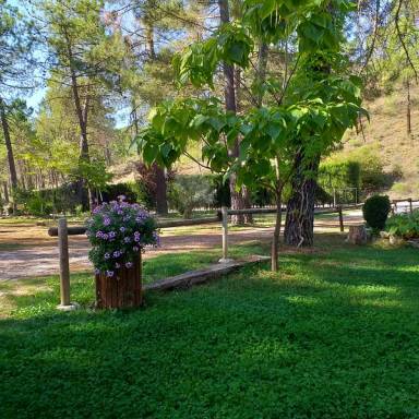 Casa Riópar
