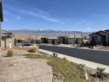House Mesquite