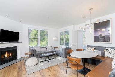 Condo Telluride