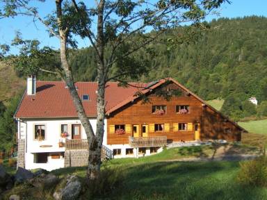 Appartement La Bresse