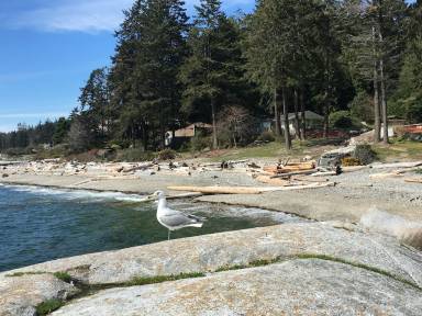 House Sechelt
