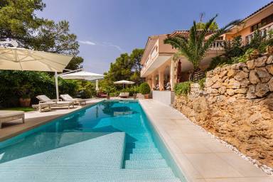 Villa Pet-friendly Establiments