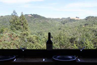 House Healdsburg
