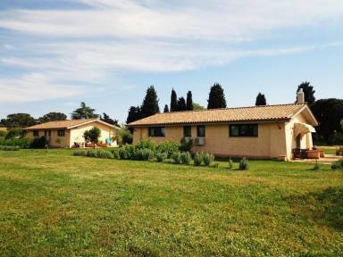 Appartamento Nepi
