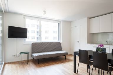 Apartment Pet-friendly Altstadt Kleinbasel