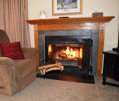 Condo Fireplace Snowshoe