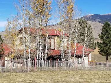 House Eagle Nest