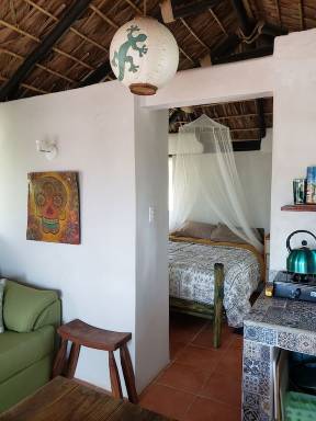 Apartment Internet Todos Santos