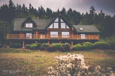 House Fireplace Sequim