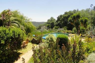 Villa Pet-friendly Caldas de Monchique