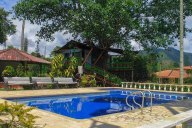 Privatrum Pereira