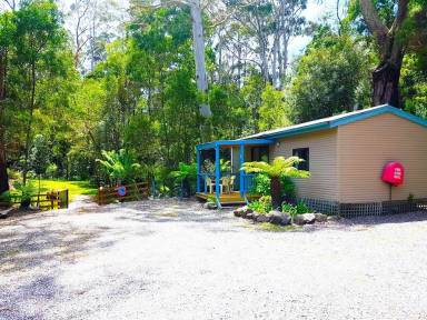 Holiday houses & accommodation in Strahan
