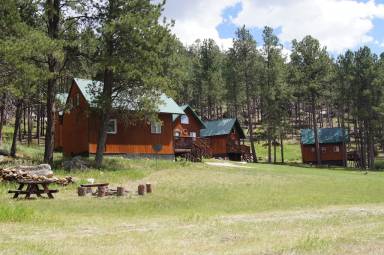 Cabin Kitchen Custer