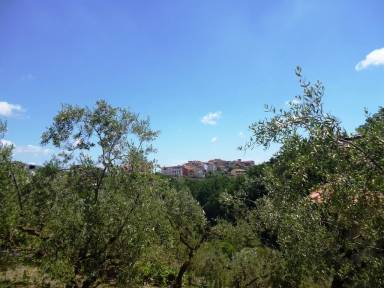Appartamento Cellole