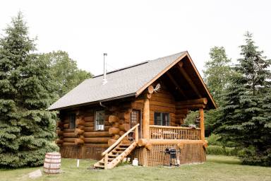 Cabin Starlight