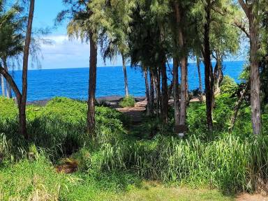 Dom Hawaiian Paradise Park