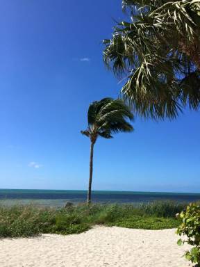 Ferienwohnung Key West