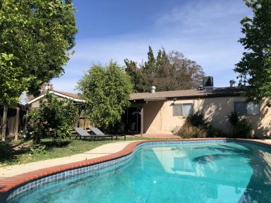 House Yard Northridge