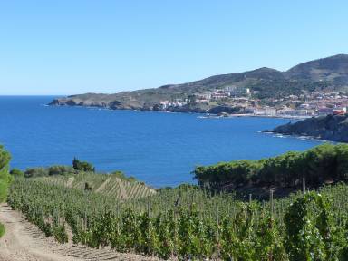 Appartement Banyuls-sur-Mer